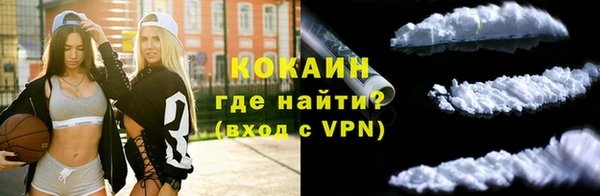 дживик Богданович