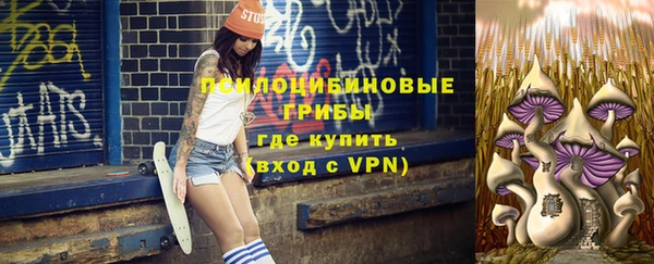 герыч Бородино