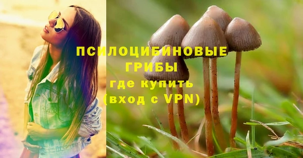 круглые Бронницы