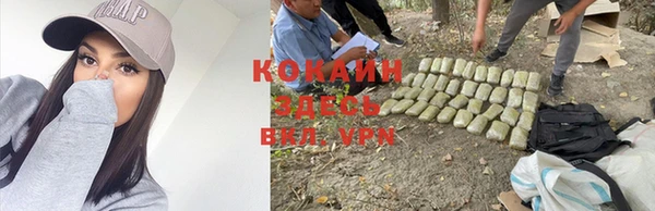 дживик Богданович
