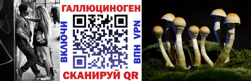 Галлюциногенные грибы ЛСД Люберцы